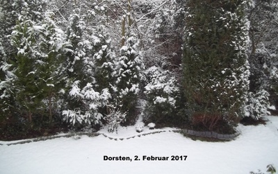 Petition: Bestrafung von
Fake News zum Klimawandel Petition: Bestrafung von Fake News
zum Klimawandel